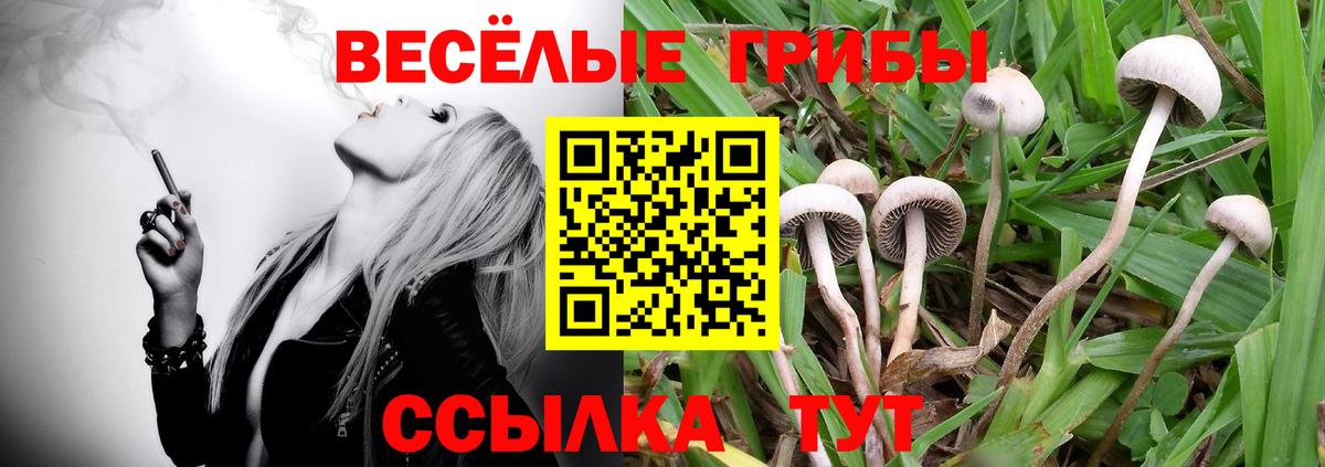 Псилоцибиновые грибы мухоморы  Псилоцибиновые грибы прущие грибы  Ипатово  Вход с VPN 